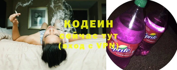 индика Богородск