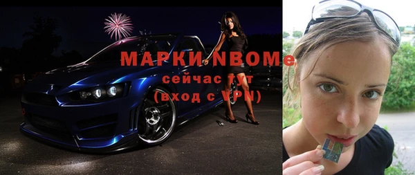индика Богородск