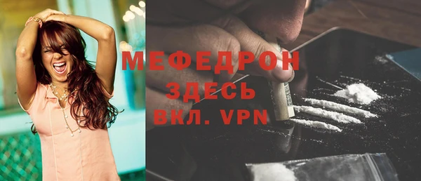 индика Богородск