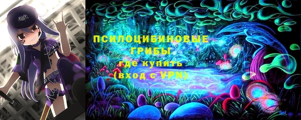 трава Богданович