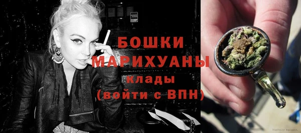 индика Богородск