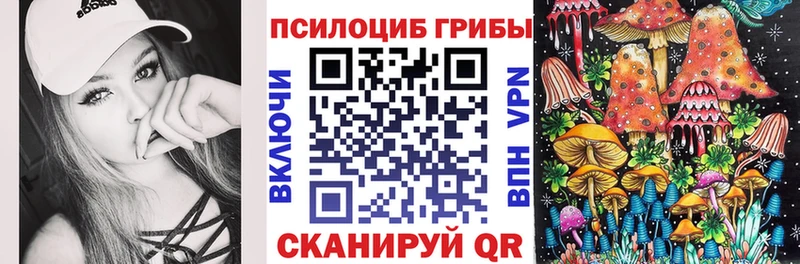 как найти наркотики  Липецк  Псилоцибиновые грибы мицелий 