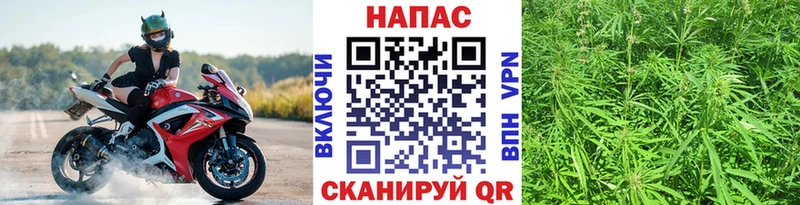 Бошки марихуана Ganja  Липецк 